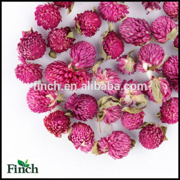 FT-004 Dried Gomphrena Globosa Wholesale Scented Flavor Flower Herbal Tea